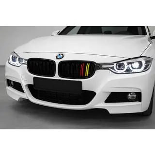 Grila radiator M-Look (German Color) BMW 3 Series F30/F31 2012-2019 foto 1