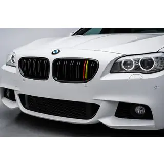 Grila radiator M-Look (German Color) foto 1